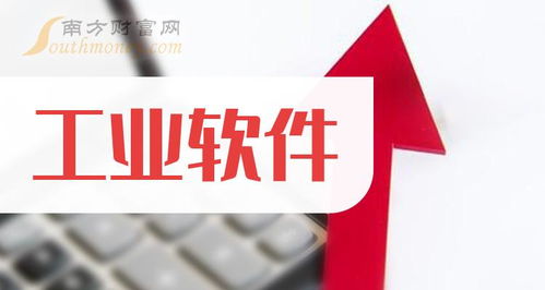 2024年工業(yè)軟件龍頭與軟件外包服務(wù) 機遇與挑戰(zhàn)并存